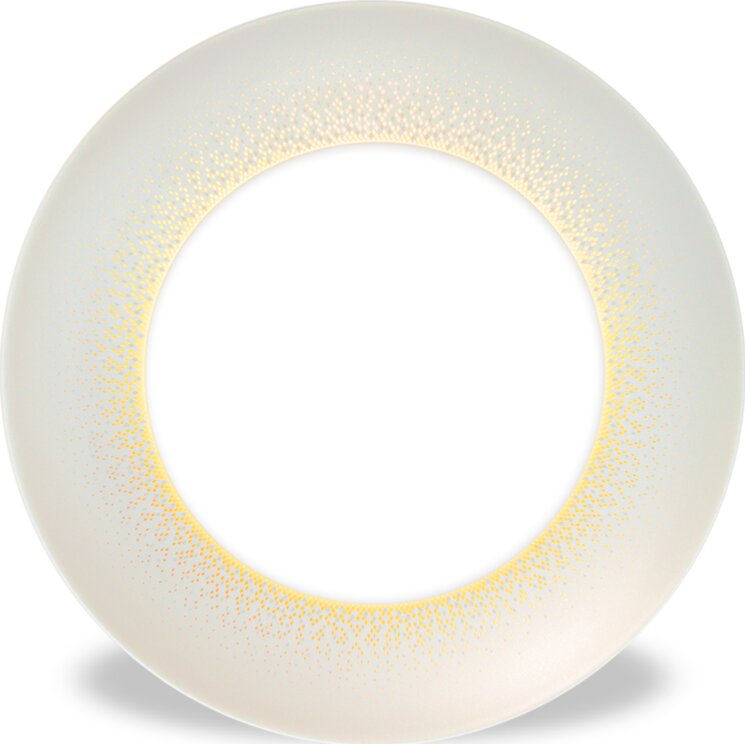 Haviland 1355-0022 Основная тарелка