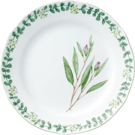 Noritake English herbs Dinner plates