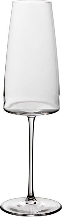 Villeroy & boch 3801-8138 Champagne glasses