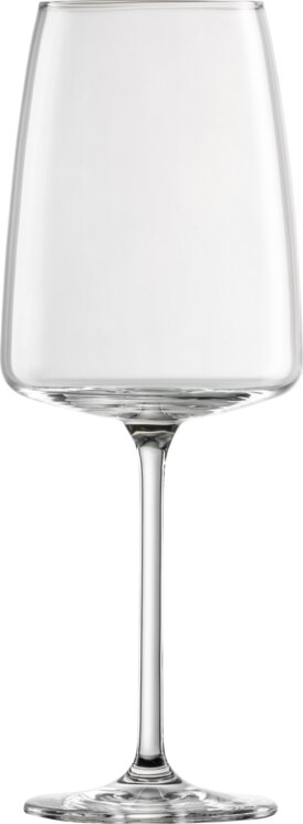 Zwiesel glas 122427 Red wine glass