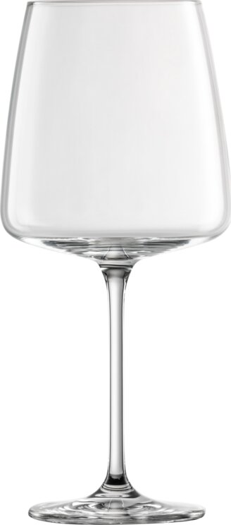 Zwiesel Glas 122428 Бокал для красного вина